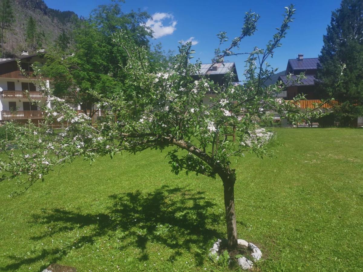 Hotel Rosalpina Rocca Pietore Buitenkant foto